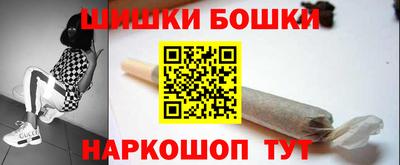 гидра Будённовск