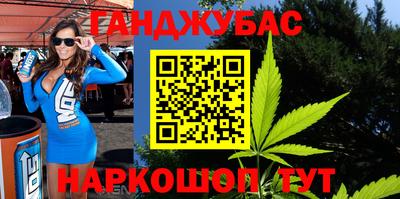 гидра Будённовск