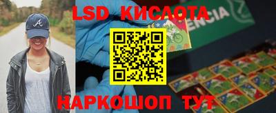 гидра Будённовск