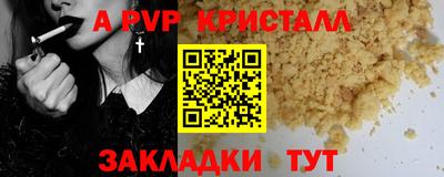 гидра Будённовск