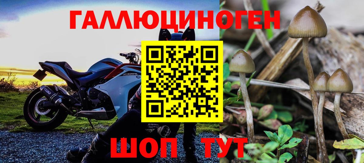 Псилоцибиновые грибы Magic Shrooms  Вход с VPN  Черногорск 