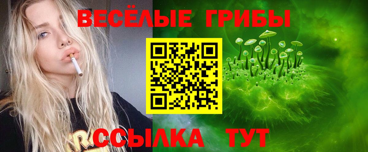 Псилоцибиновые грибы ЛСД Черногорск
